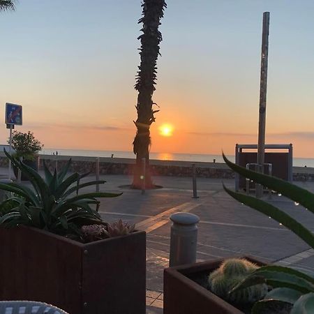 Suite 21 - Clim - Front De Mer Canet-en-Roussillon Exteriör bild